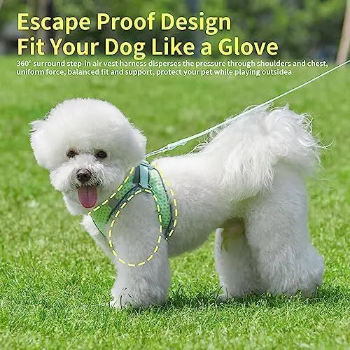 Soft harness for small dogs and cats, summer walking gear, reflective bands, ultra-thin, breathable, perfect fit.
