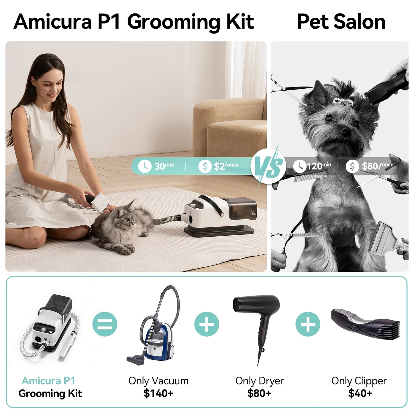 P1 Vacuum Cleaner And Hair Dryer With Pet Grooming Tools