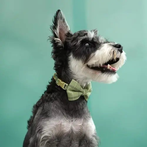 Beirui Cute Extra Small Dog Harness & Leash Set with Bow, Soft Plaid Collar for Tiny Pups
SEO optimized: small dog harness se