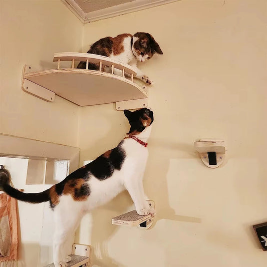 CWV Wall Mounted Cat Climbing Shelf With Hammock And Steps