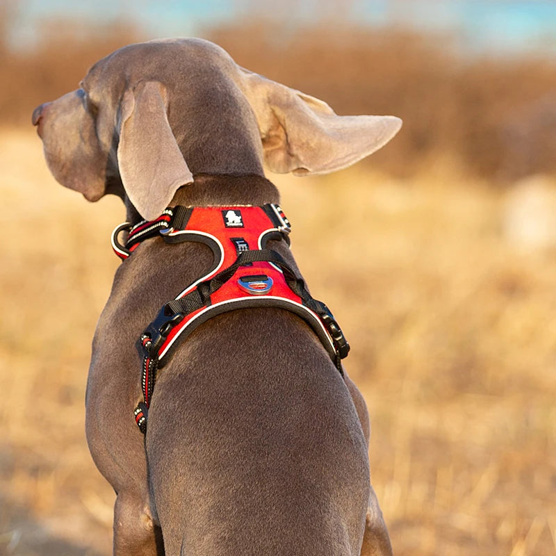 TRUELOVE CN Reflective Nylon Dog Harness No Pull Adjustable