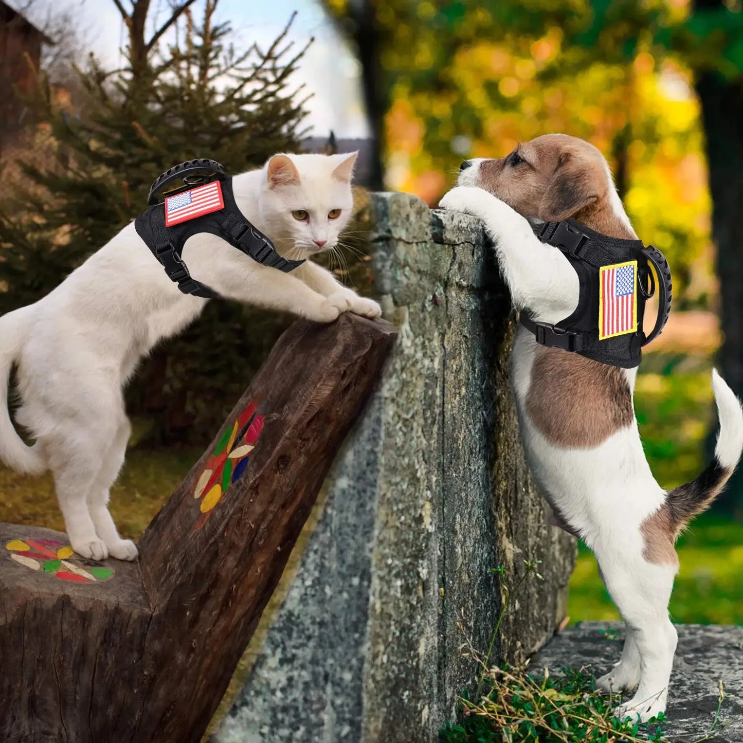 Tactical Puppy Harness And Leash Set For Small Dogs Training
