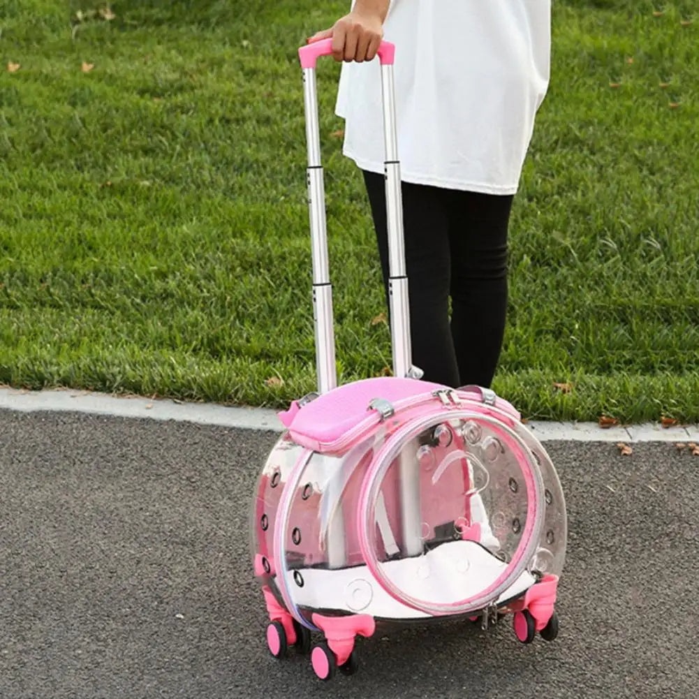 Pet Trolley Case With Ventilation Holes For Cats Travel