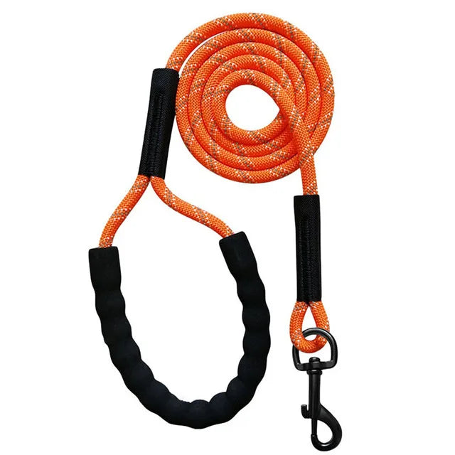 Reflective Nylon Dog Leash For Walking And Training