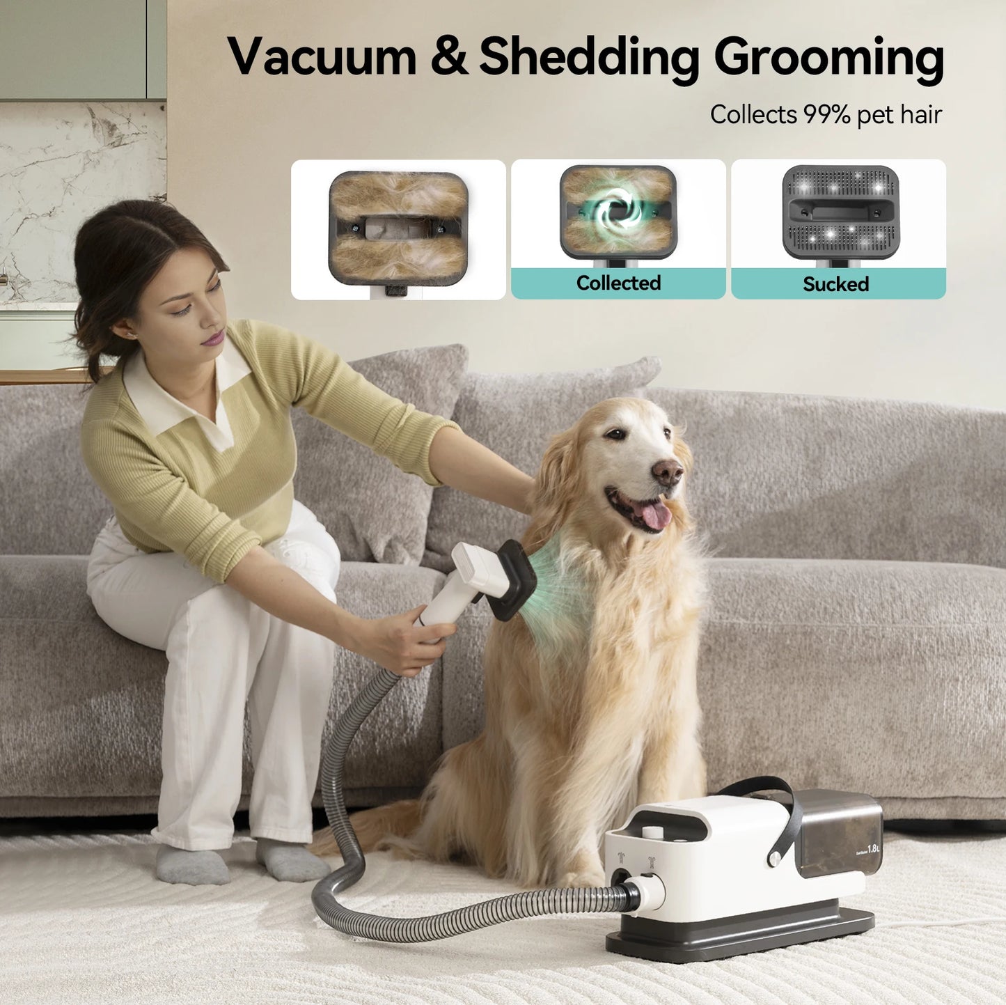P1 Vacuum Cleaner And Hair Dryer With Pet Grooming Tools