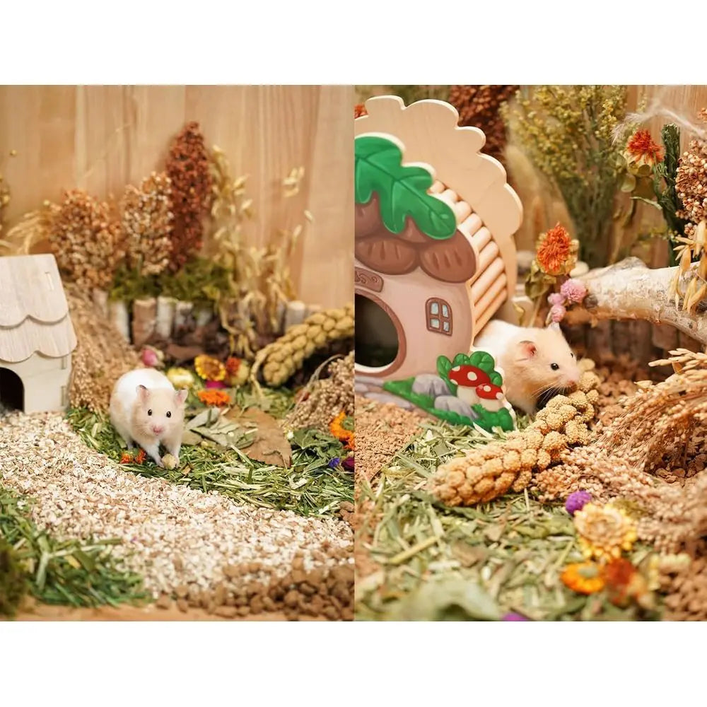 Natural Hamster Bedding With Herbs And Rice Treats