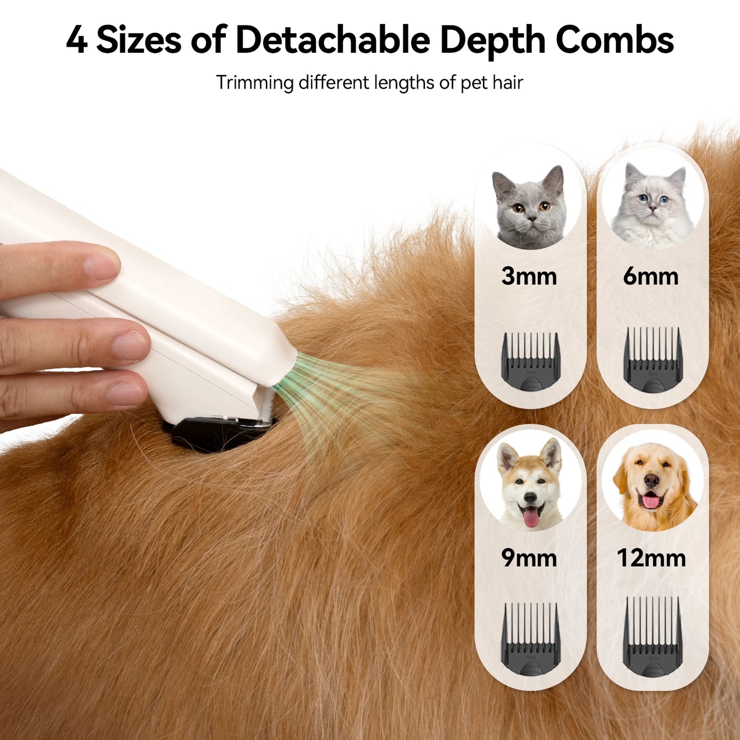 P1 Vacuum Cleaner And Hair Dryer With Pet Grooming Tools