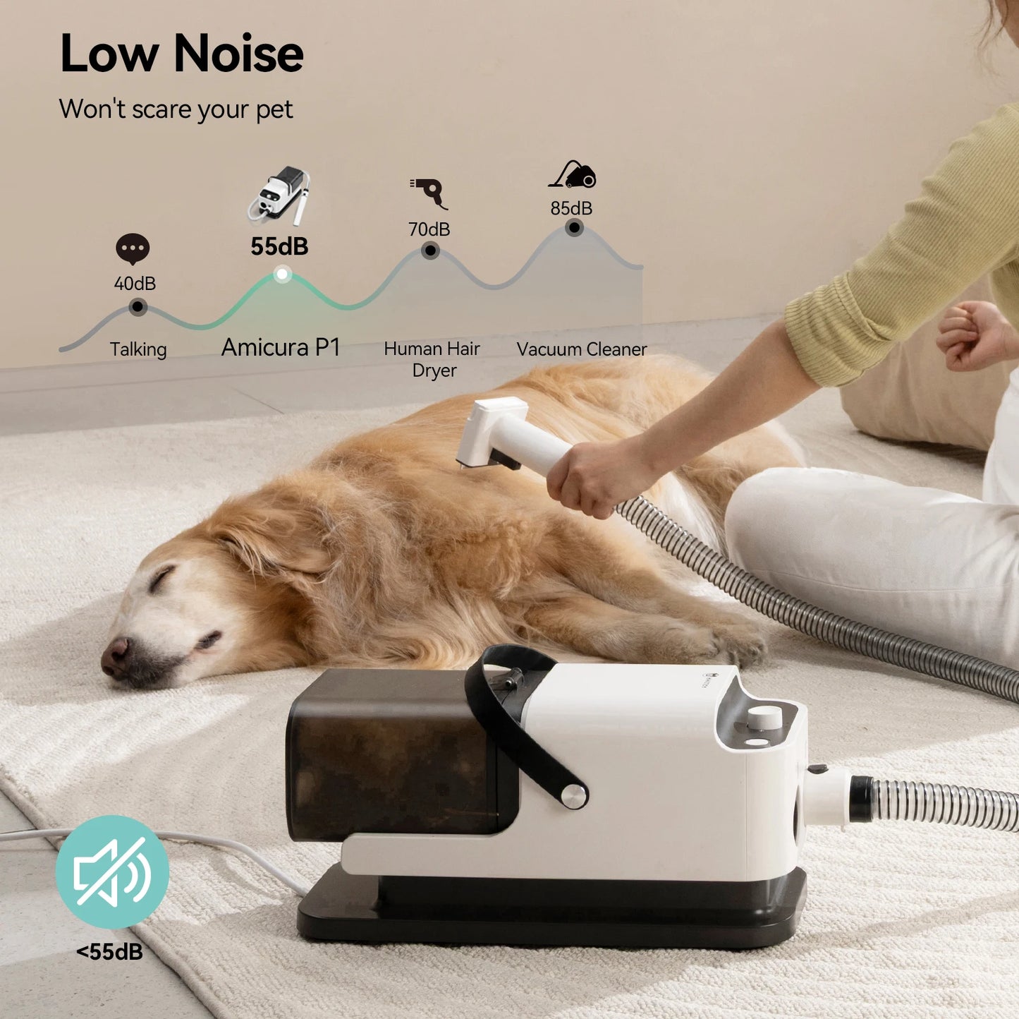 P1 Vacuum Cleaner And Hair Dryer With Pet Grooming Tools