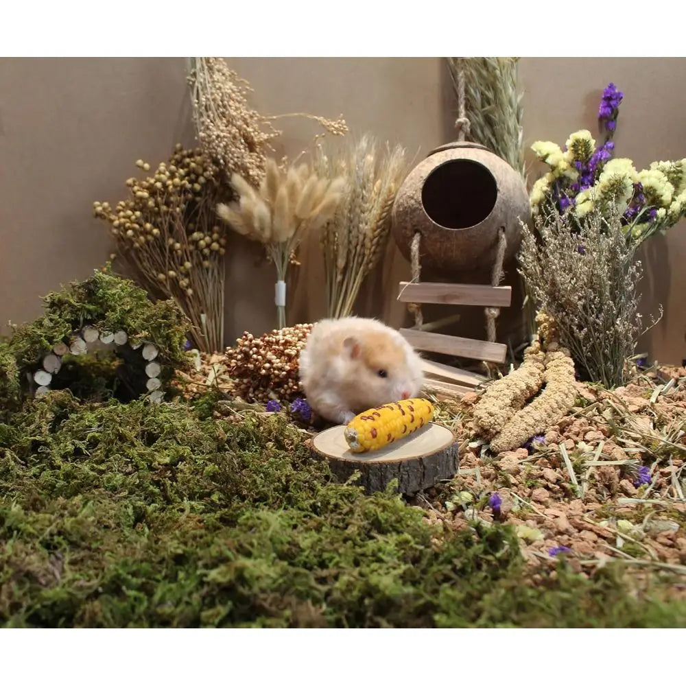 Natural Hamster Bedding With Herbs And Rice Treats