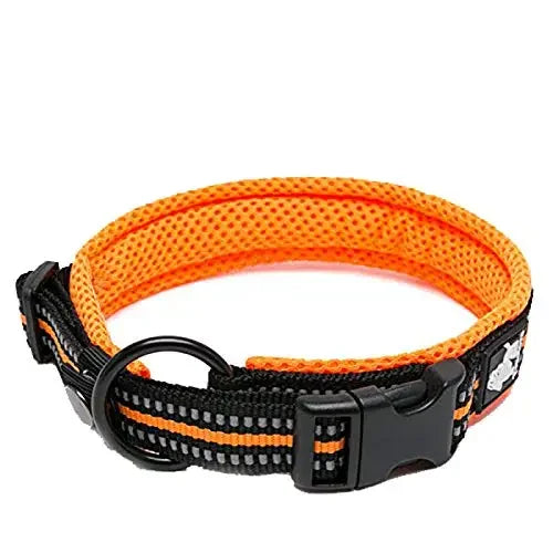 TrueLove Dog Collar Nylon Adjustable Padded Reflective Training TLC5011