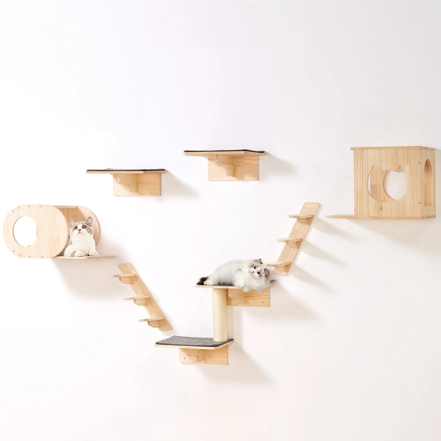 SucceBuy Wall Mounted Cat Shelves Jumping Boards Hammocks Cat Tree