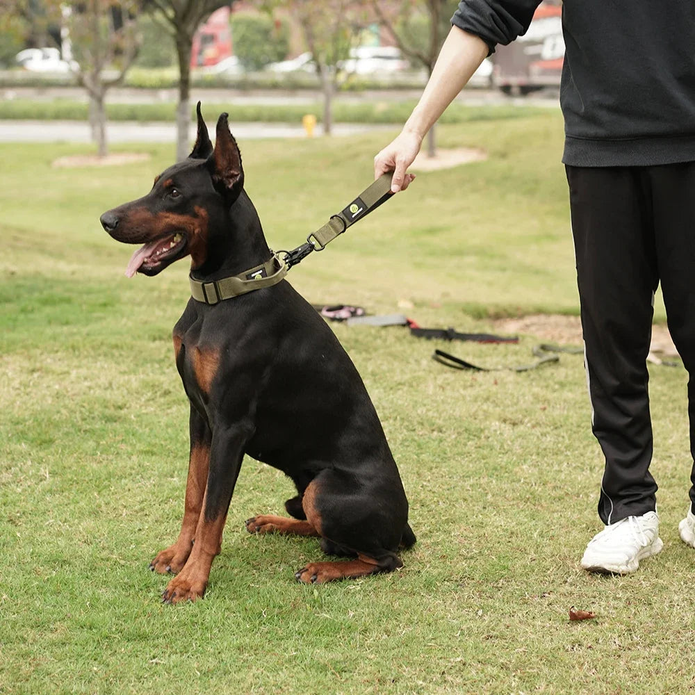 Nylon Short Traffic Leash With Padded Handle Reflective For Training