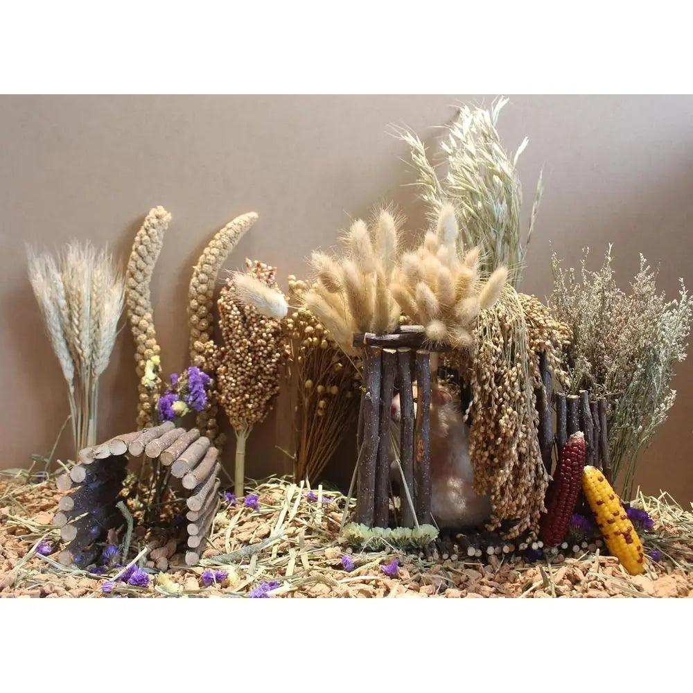 Natural Hamster Bedding With Herbs And Rice Treats