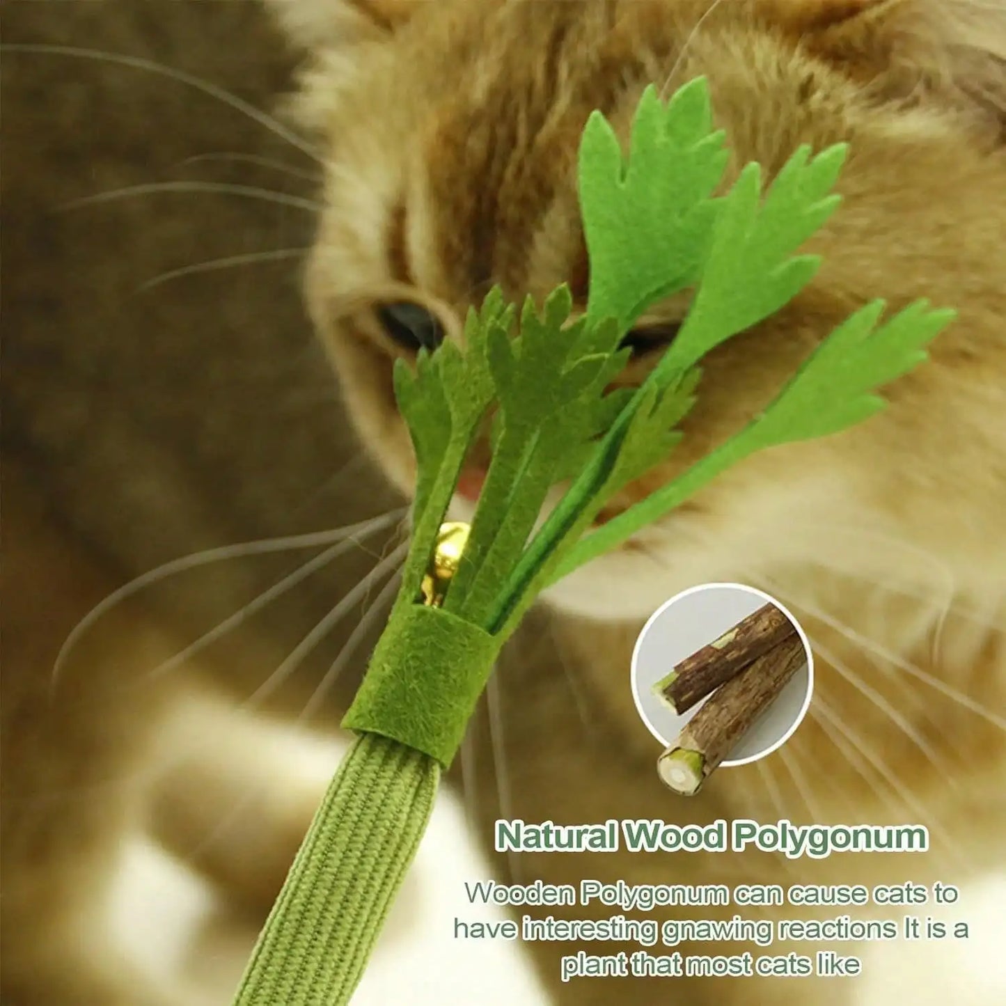 Realistic Celery And Silvervine Cat Toy With Bell Durable