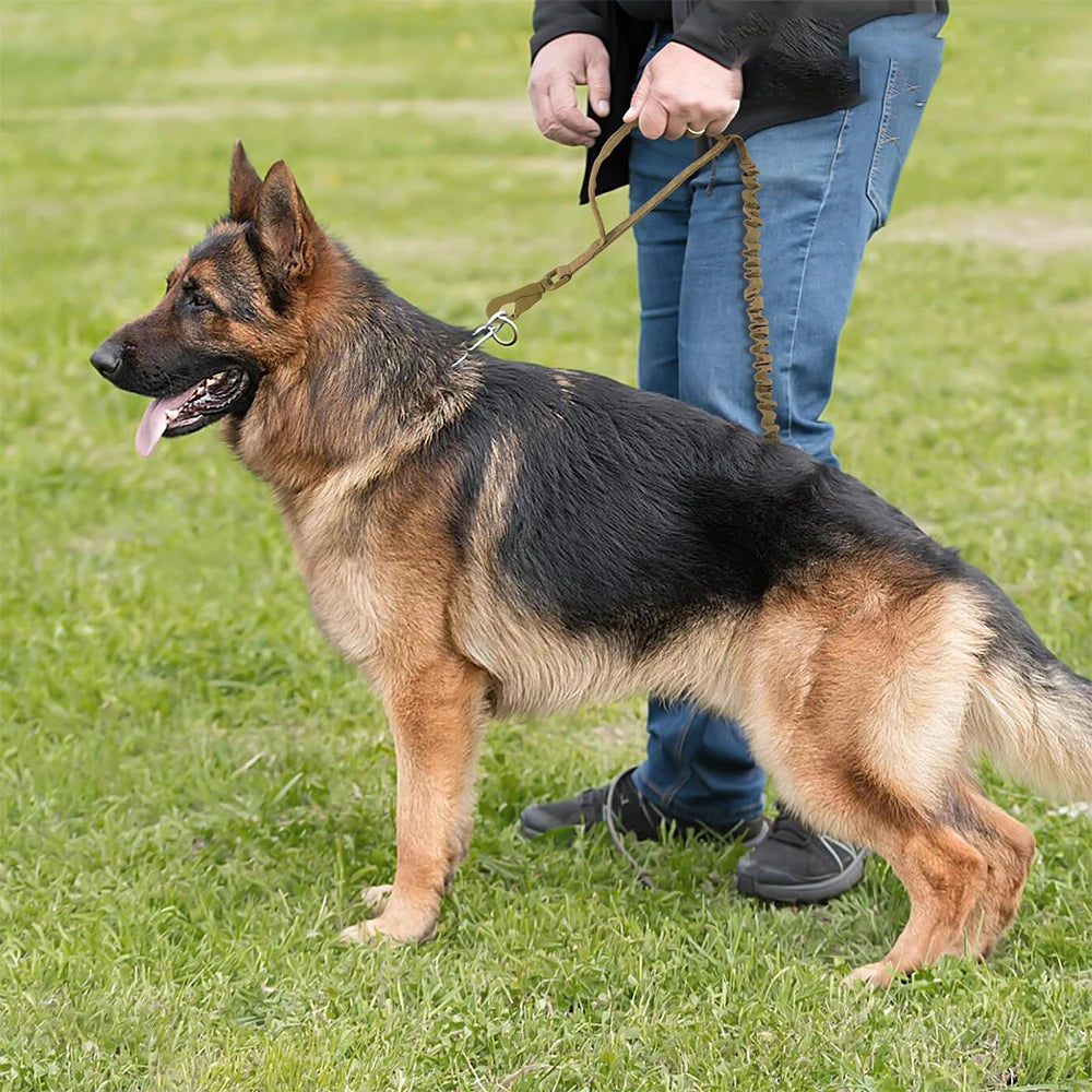PETRAVELCN Military Dog Leash With Quick Release And Dual Handles