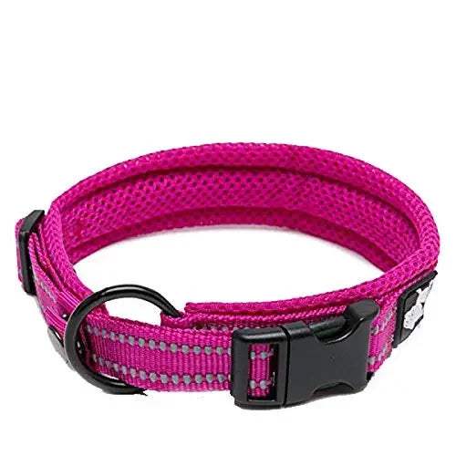 TrueLove Dog Collar Nylon Adjustable Padded Reflective Training TLC5011