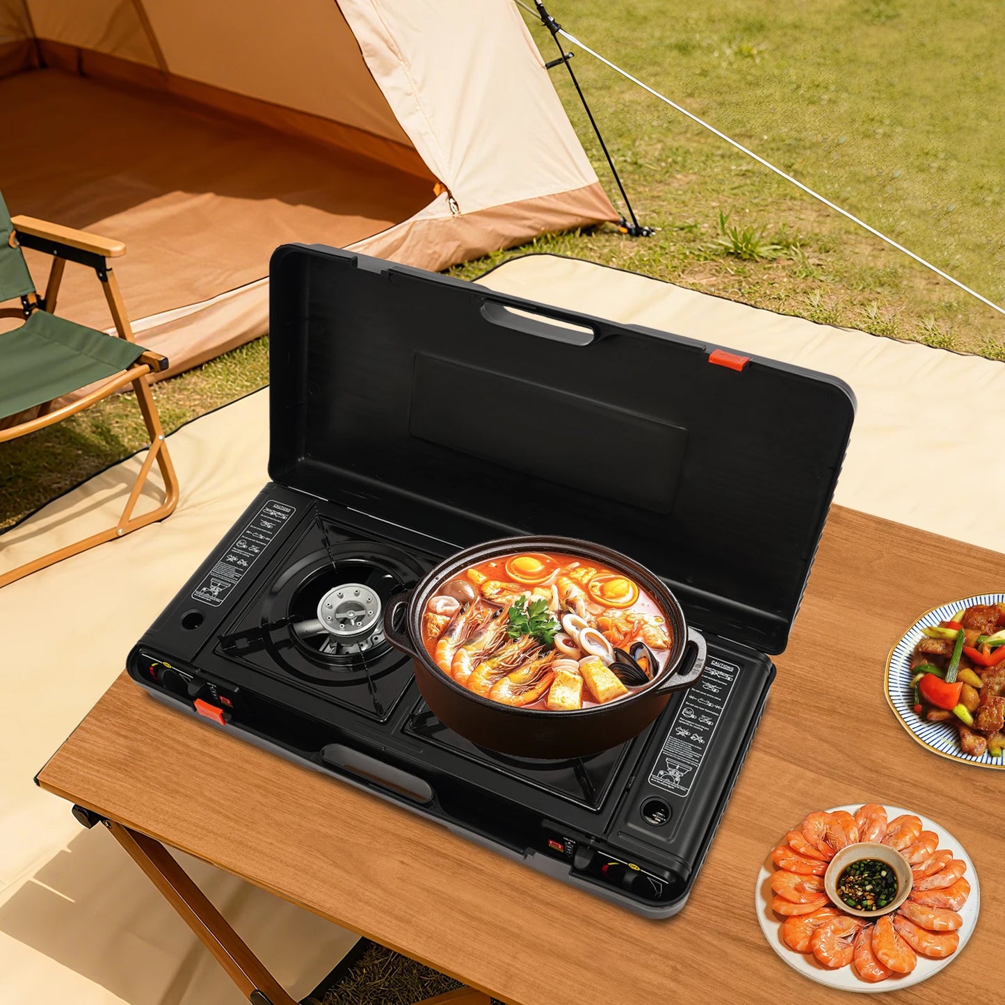 Two Burner Portable Camping Stove With Auto Ignition And Case