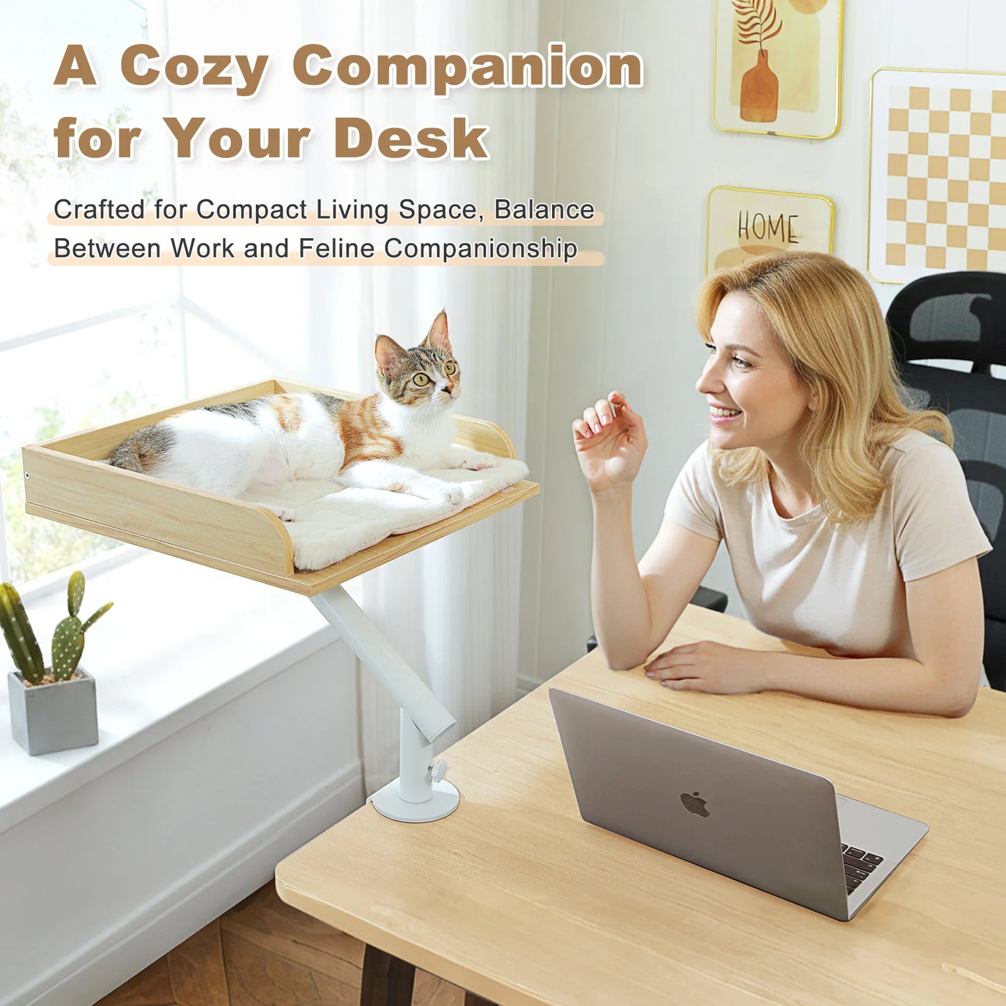 PAWZ Road Cat Desk Bed With 360 Degree Rotatable Stand For Indoor Cats