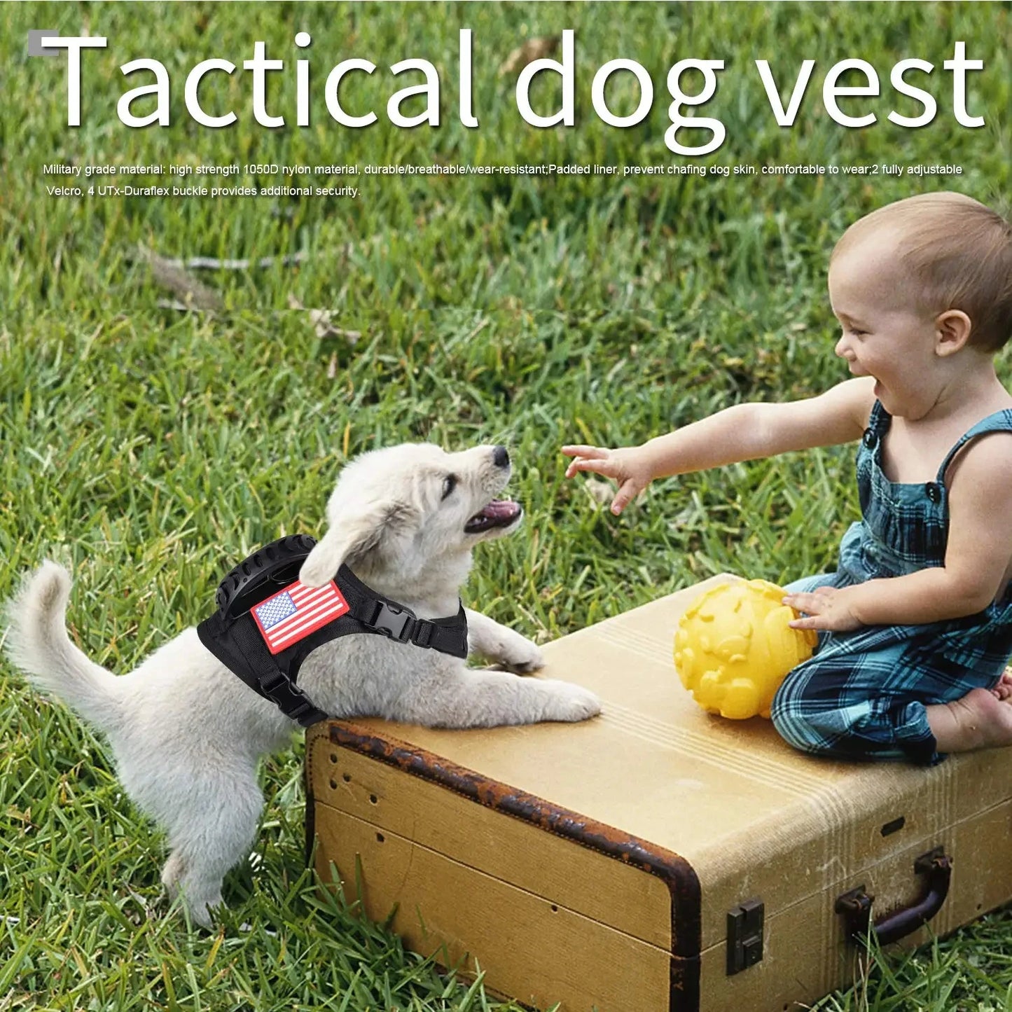Tactical Puppy Harness And Leash Set For Small Dogs Training