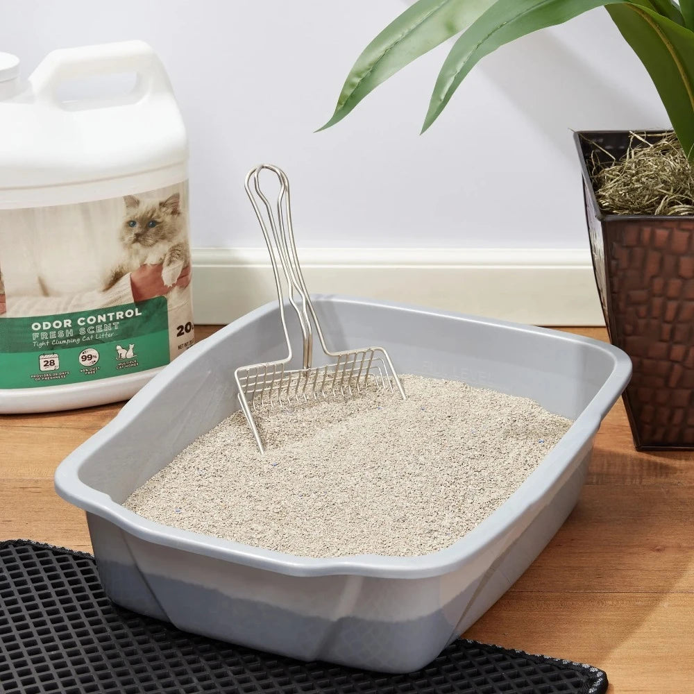 Special Kitty Scoopable Tight Clumping Cat Litter Fresh Scent