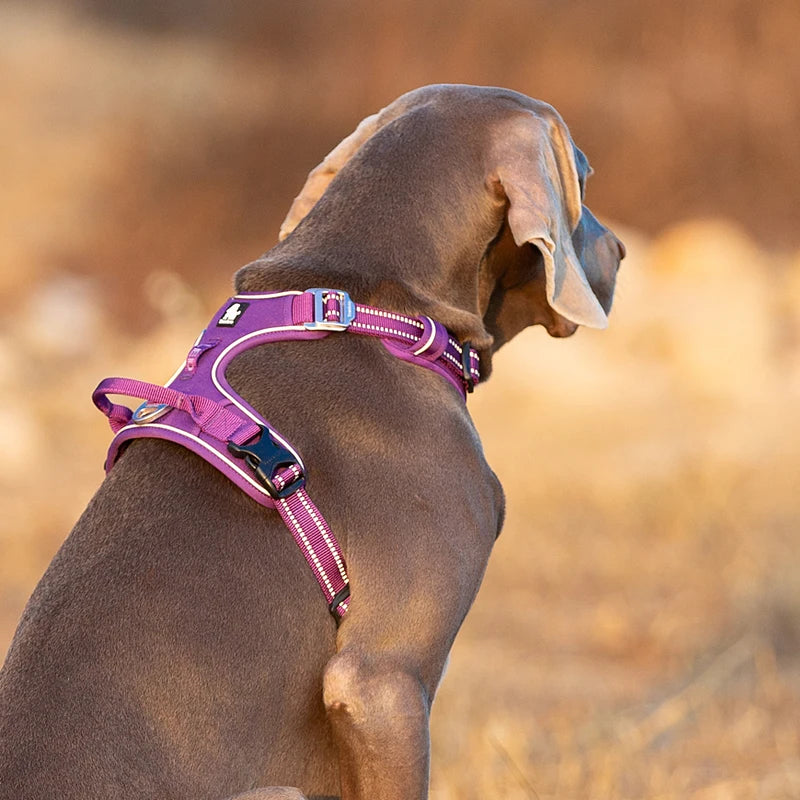 Winhyepet Reflective Padded Dog Training Vest With Adjustable Straps