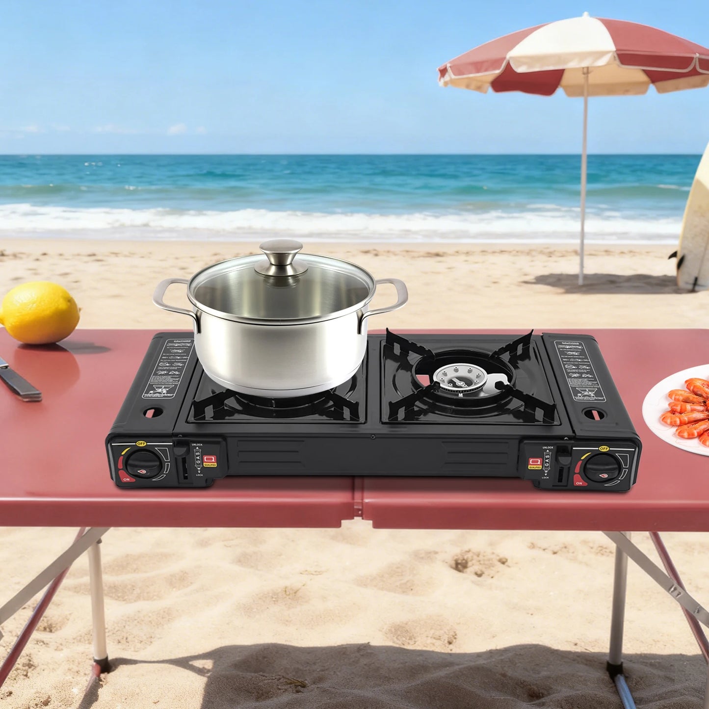 Two Burner Portable Camping Stove With Auto Ignition And Case