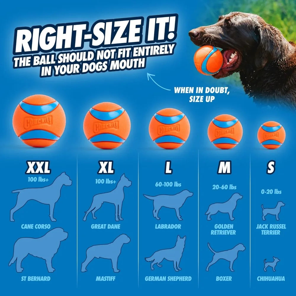 Ultra Bouncy Dog Ball Medium 2.5 inch – Durable Floating Rubber Fetch Toy for Dogs 20-60 lbs, Pack of 2