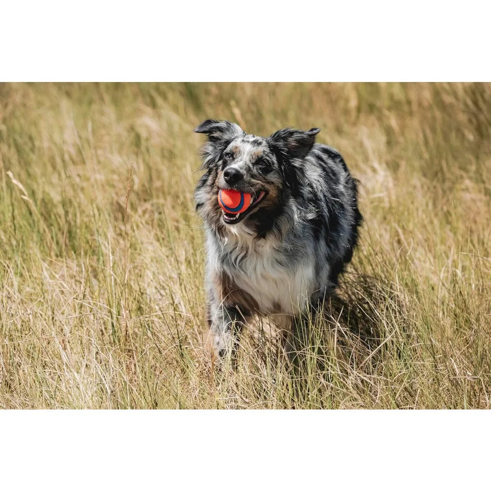 Ultra Bouncy Dog Ball Medium 2.5 inch – Durable Floating Rubber Fetch Toy for Dogs 20-60 lbs, Pack of 2