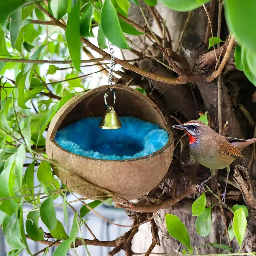 Natural Coconut Shell Bird Nest Set With Warm Pad And Bell For Parrot Budgie