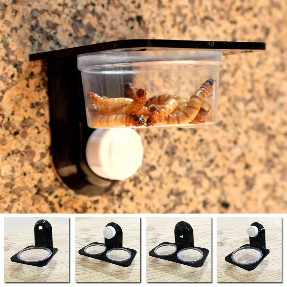 Reptile Water Feeding Bowl Terrarium Dish For Snakes Geckos