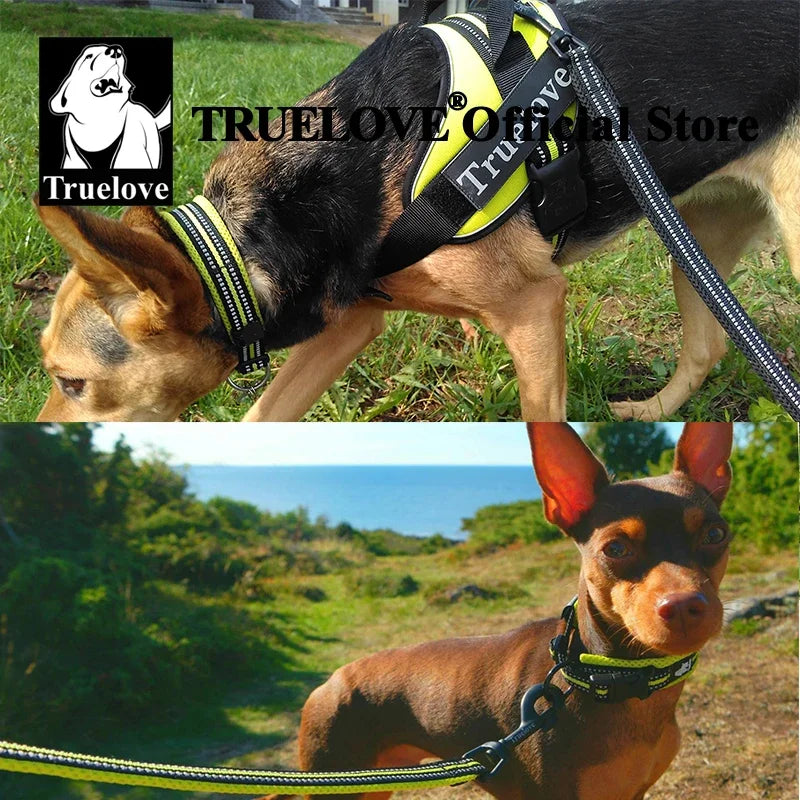 TrueLove Dog Collar Nylon Adjustable Padded Reflective Training TLC5011