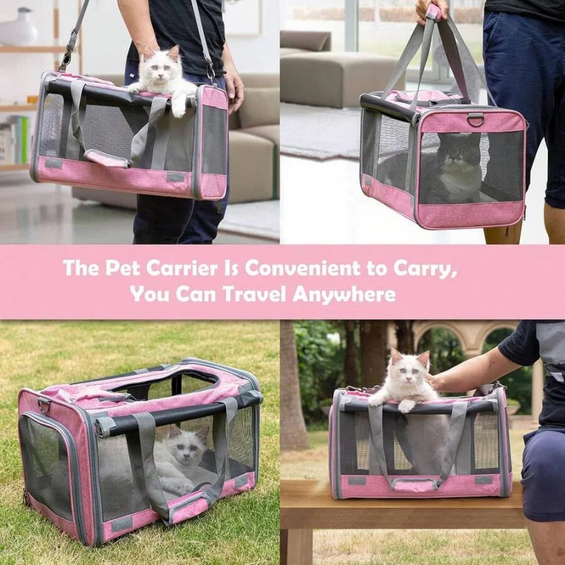 Airline Certified Cat And Dog Travel Carriers 2 Pack