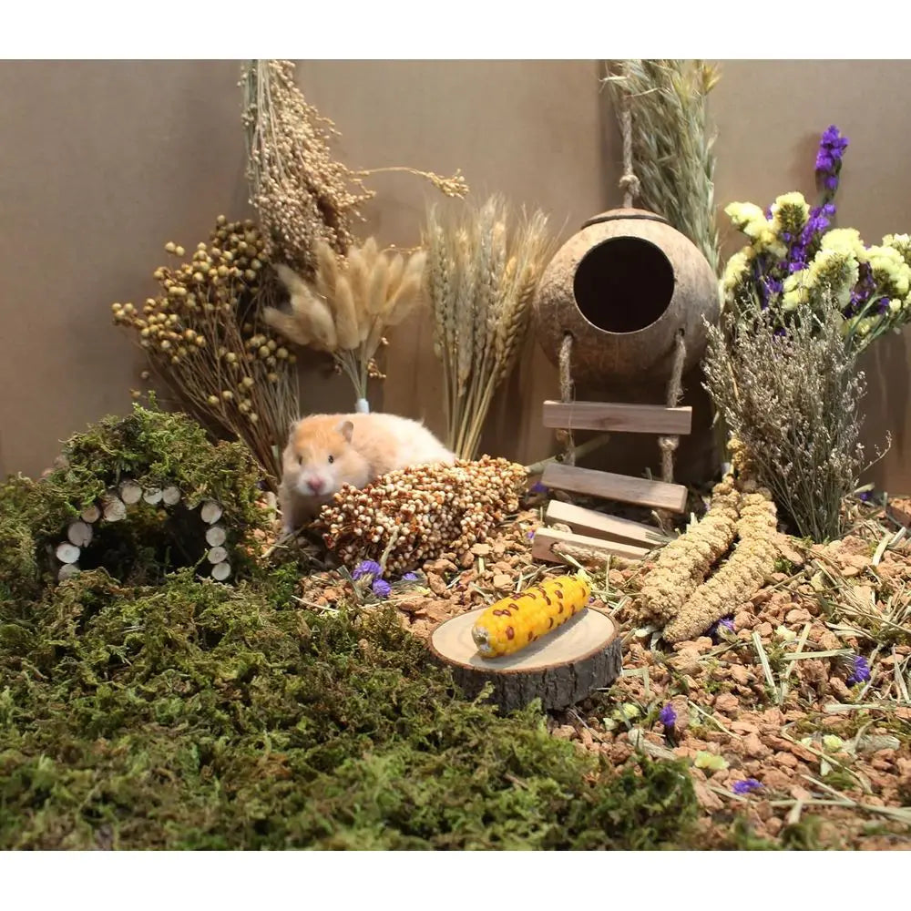 Natural Hamster Bedding With Herbs And Rice Treats