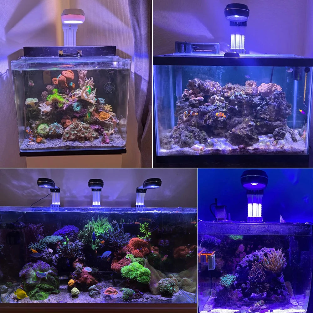 PopBloom Marine Aquarium LED Light 60W/100W For Reef Tanks