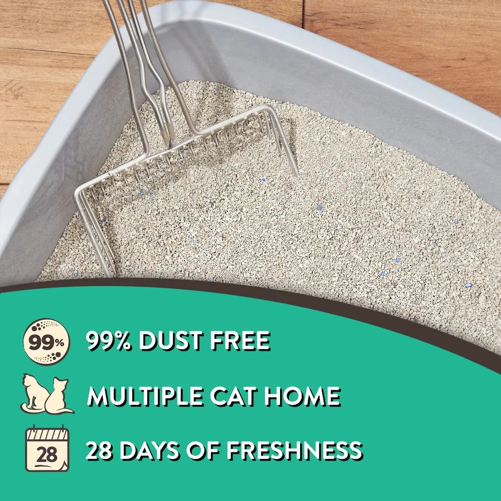 Special Kitty Scoopable Tight Clumping Cat Litter Fresh Scent