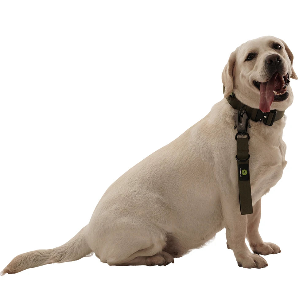 Nylon Short Traffic Leash With Padded Handle Reflective For Training