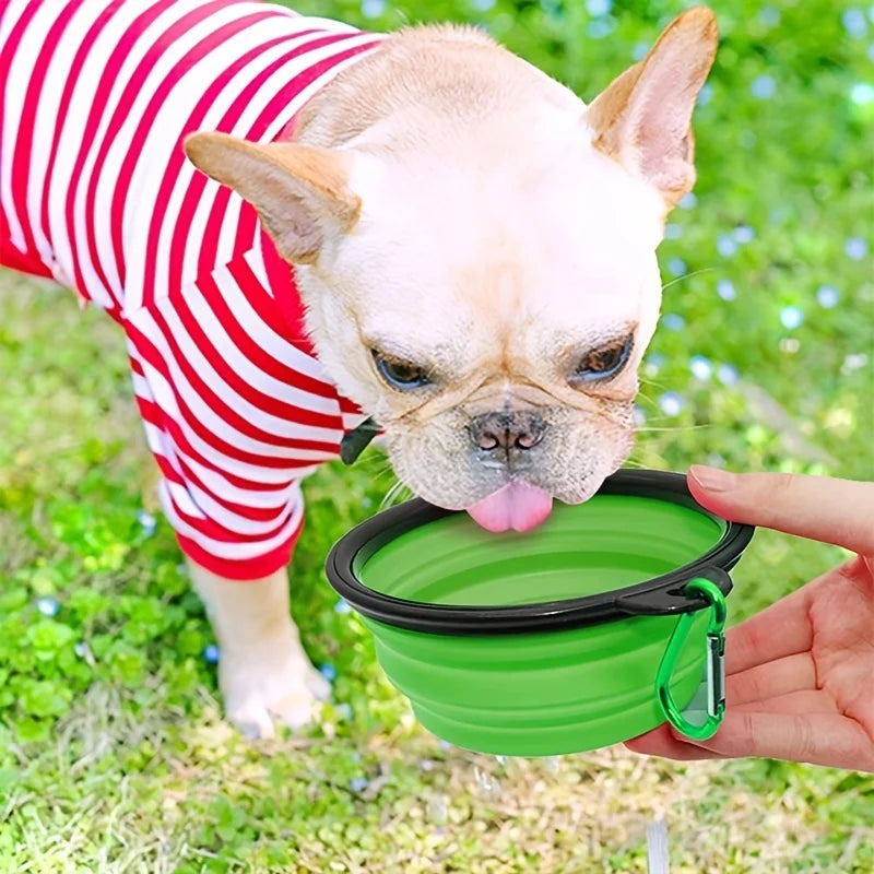 Durable TPR Collapsible Pet Food Bowl For Cats And Dogs