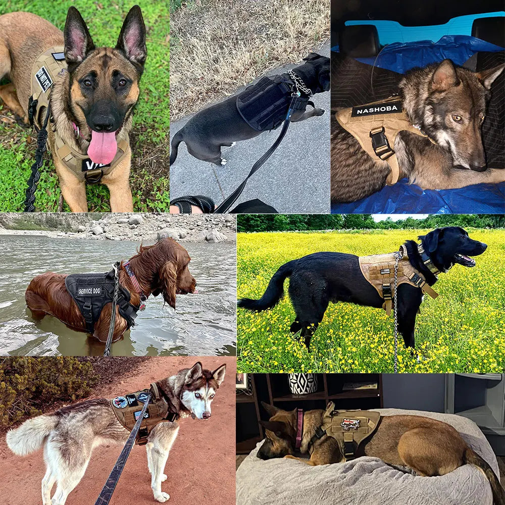 PETRAVELCN Large Dog Harness And Leash Set Vest For Training