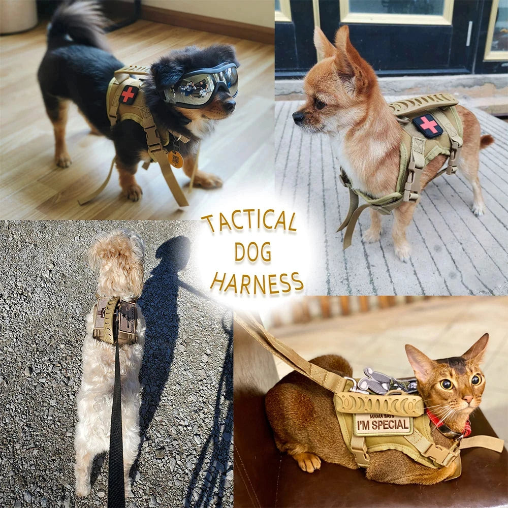 Tactical Puppy Harness And Leash Set For Small Dogs Training