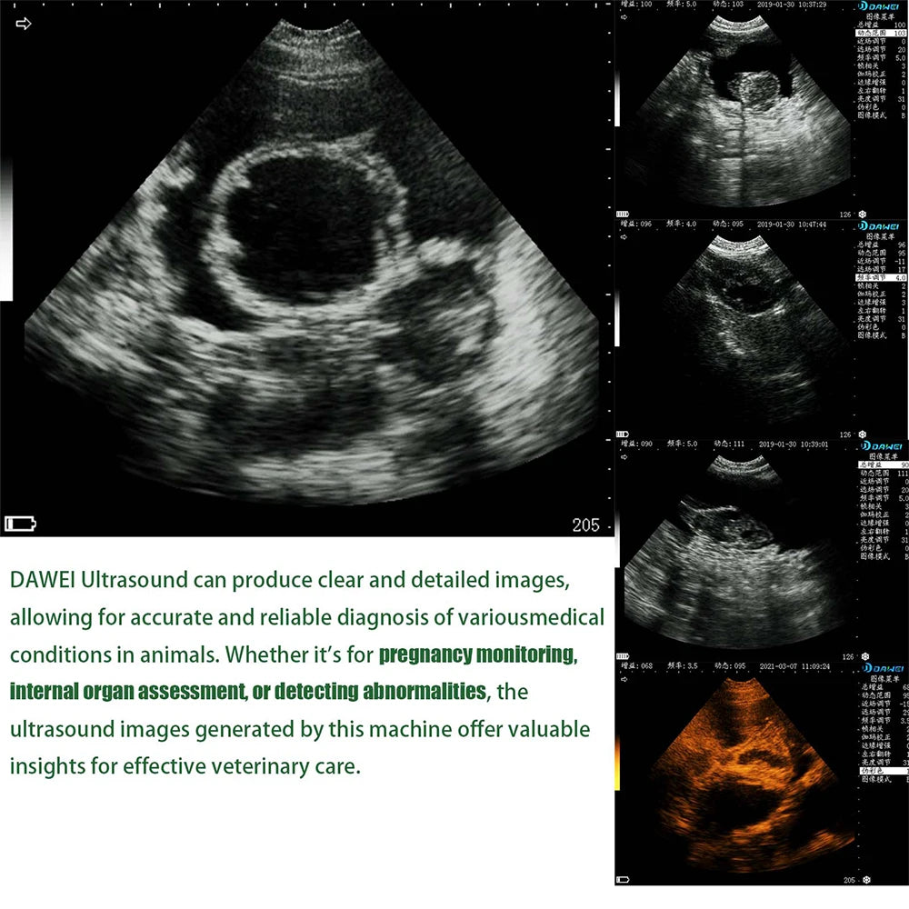 DAWEI Portable Veterinary Ultrasound Scanner For Pregnancy Testing