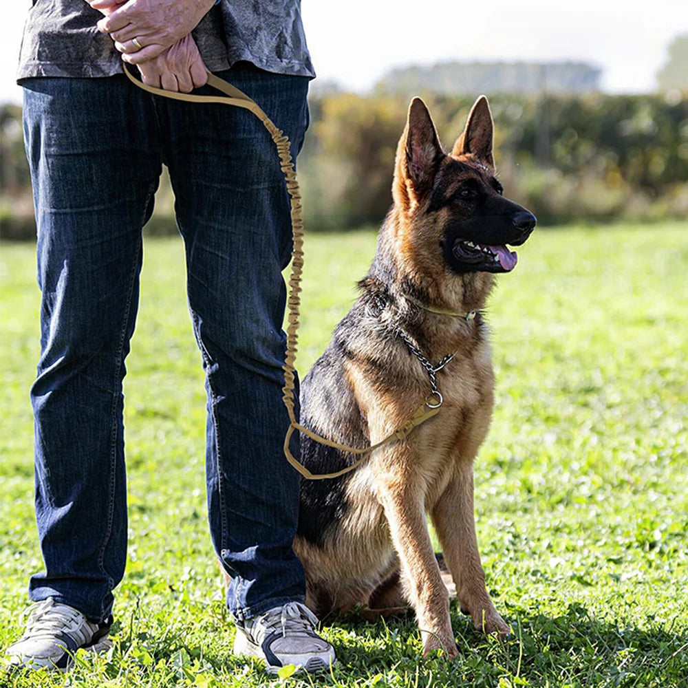 PETRAVELCN Military Dog Leash With Quick Release And Dual Handles