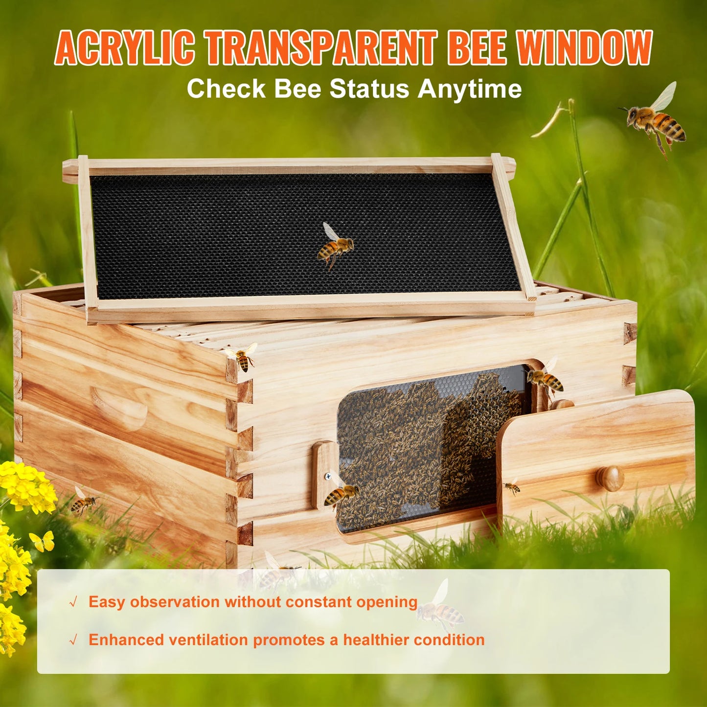 SucceBuy Cedar Langstroth Beehive Starter Kit With Acrylic Windows