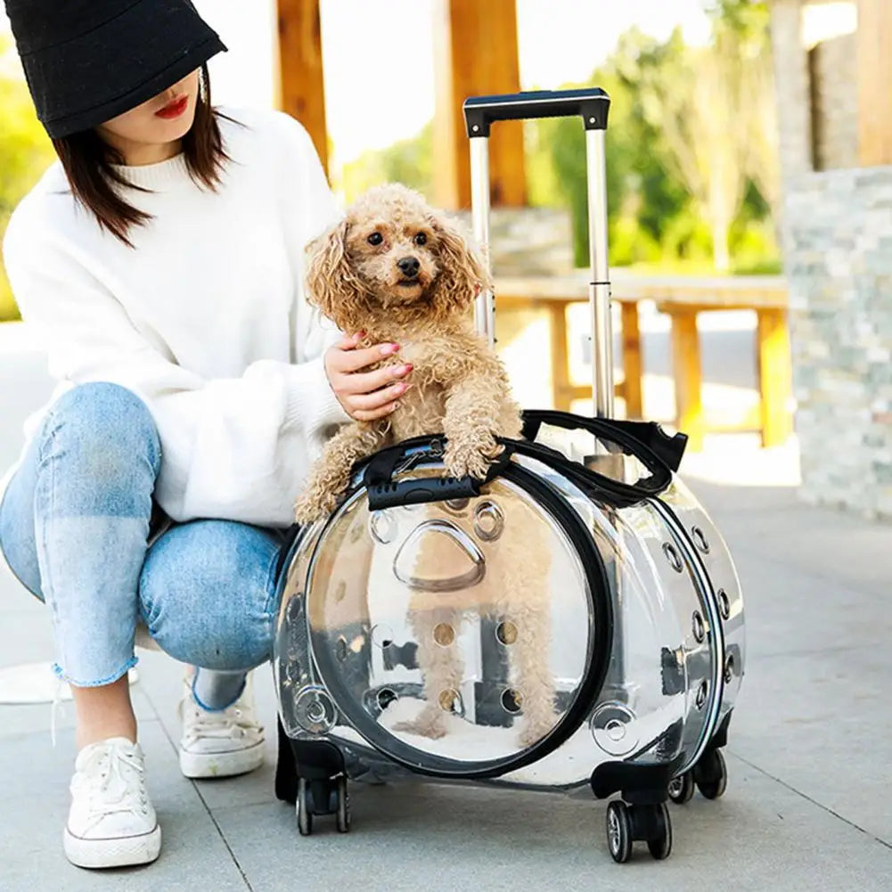 Pet Trolley Case With Ventilation Holes For Cats Travel